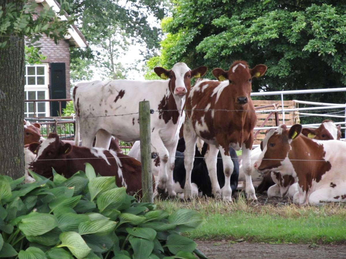 HeetenBoerderij De Aarninkアパートメント エクステリア 写真